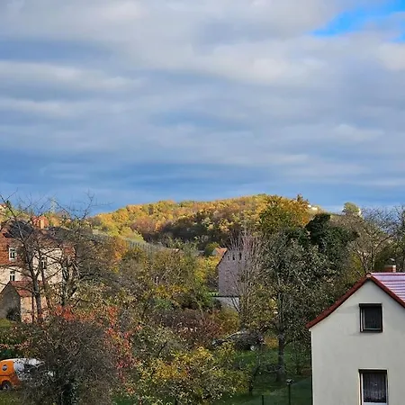公寓 Appartment Wohnung Mit Weinbergblick 拉德博伊尔