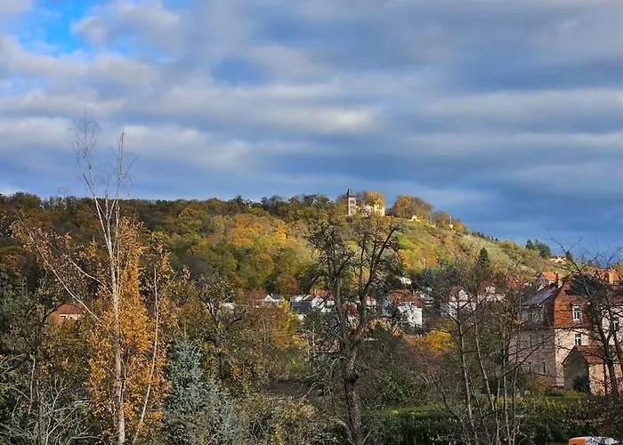 Apartment Mit Weinbergblick *