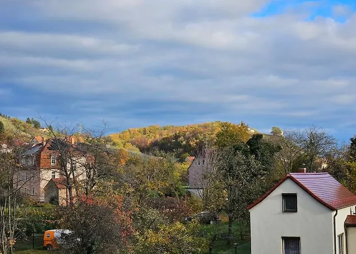 Apartment Mit Weinbergblick Radebeul